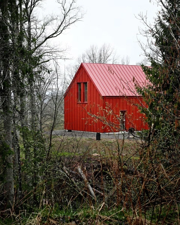 Rött trähus med sadeltak, omgivet av tät skog och vegetation.